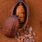 Kakaové maslo a jeho pôvod