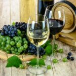 3 fakty, ktoré musí každý milovník vína poznať
