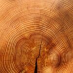 5 tipov pre skladovanie dreva